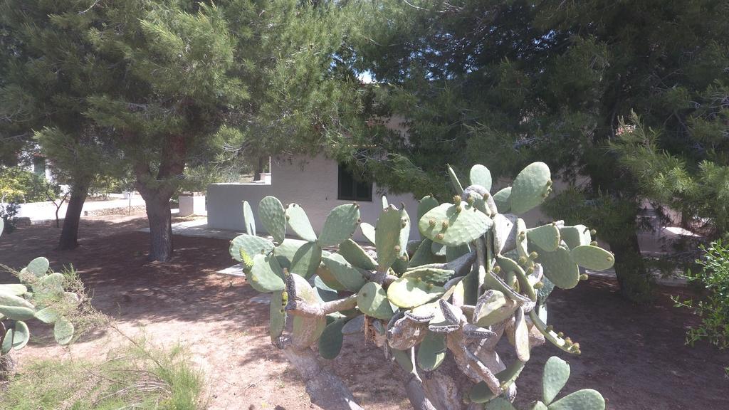 Appartamenti In Villa Senia Favignana Bagian luar foto