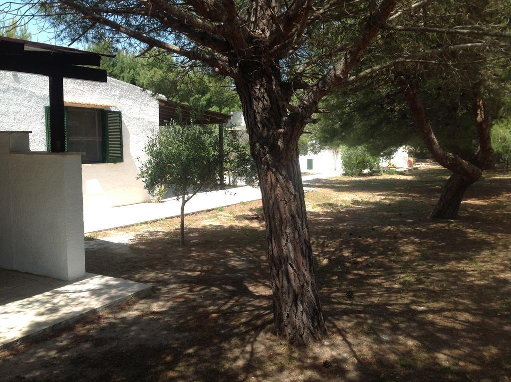 Appartamenti In Villa Senia Favignana Bagian luar foto